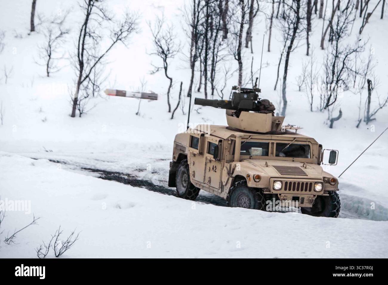 29. März 2021 - Setermoen, Norwegen - US-Marines feuern mit Marine Rotational Force Europe 21,1 (MRF-E), Marine Forces Europe and Africa, während eines Live-Fire-Angriffs der Kompanie im Rahmen der Übung Arctic Littoral Strike in BlÃ, Norwegen, 29. März 2021. Exercise Arctic Littoral Strike verbesserte die Fähigkeit von MRF-E, sich den Herausforderungen zu stellen, die sich aus der Anti-Zugang- und Area-Denial-Fähigkeit eines fiktiven Gegners in einem umstrittenen Küstenumfeld ergeben. MRF-E zeigte die Fähigkeit, gemeinsame Flottenoperationen zu unterstützen, indem sie ein norwegisches U-Boot über Beobachtung versorgte und A zerstörte Stockfoto