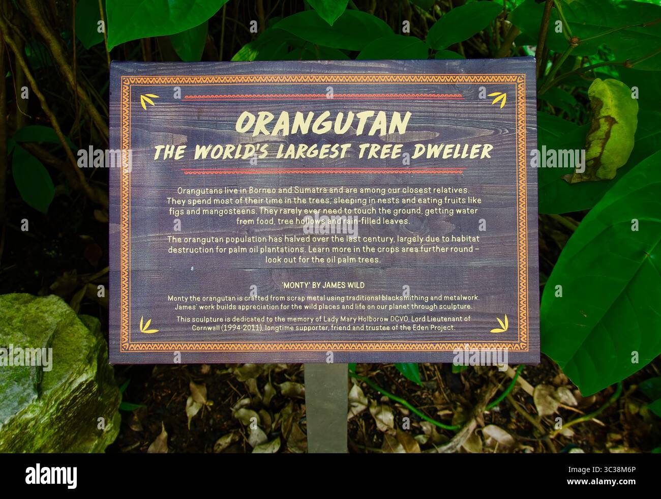 Schild für Monty von James Wild Orang-Utan-Skulptur aus Altmetall Rainforest Biome Eden Project Bodelva Cornwall England Vereinigtes Königreich Europa Stockfoto