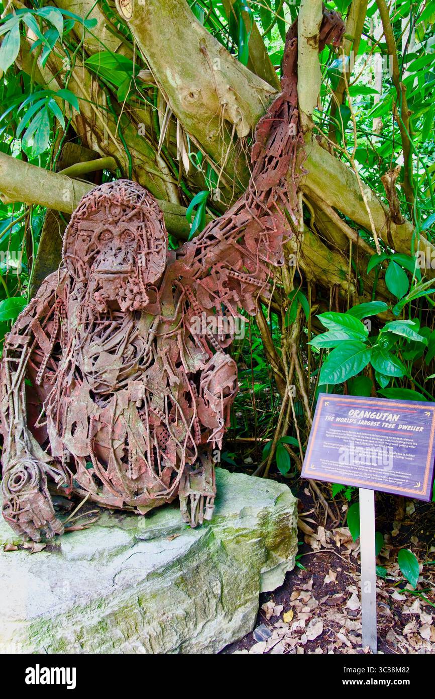 Monty von James Wild Orang-Utan-Skulptur aus Altmetall Rainforest Biome The Eden Project Bodelva Cornwall England Vereinigtes Königreich Europa Stockfoto