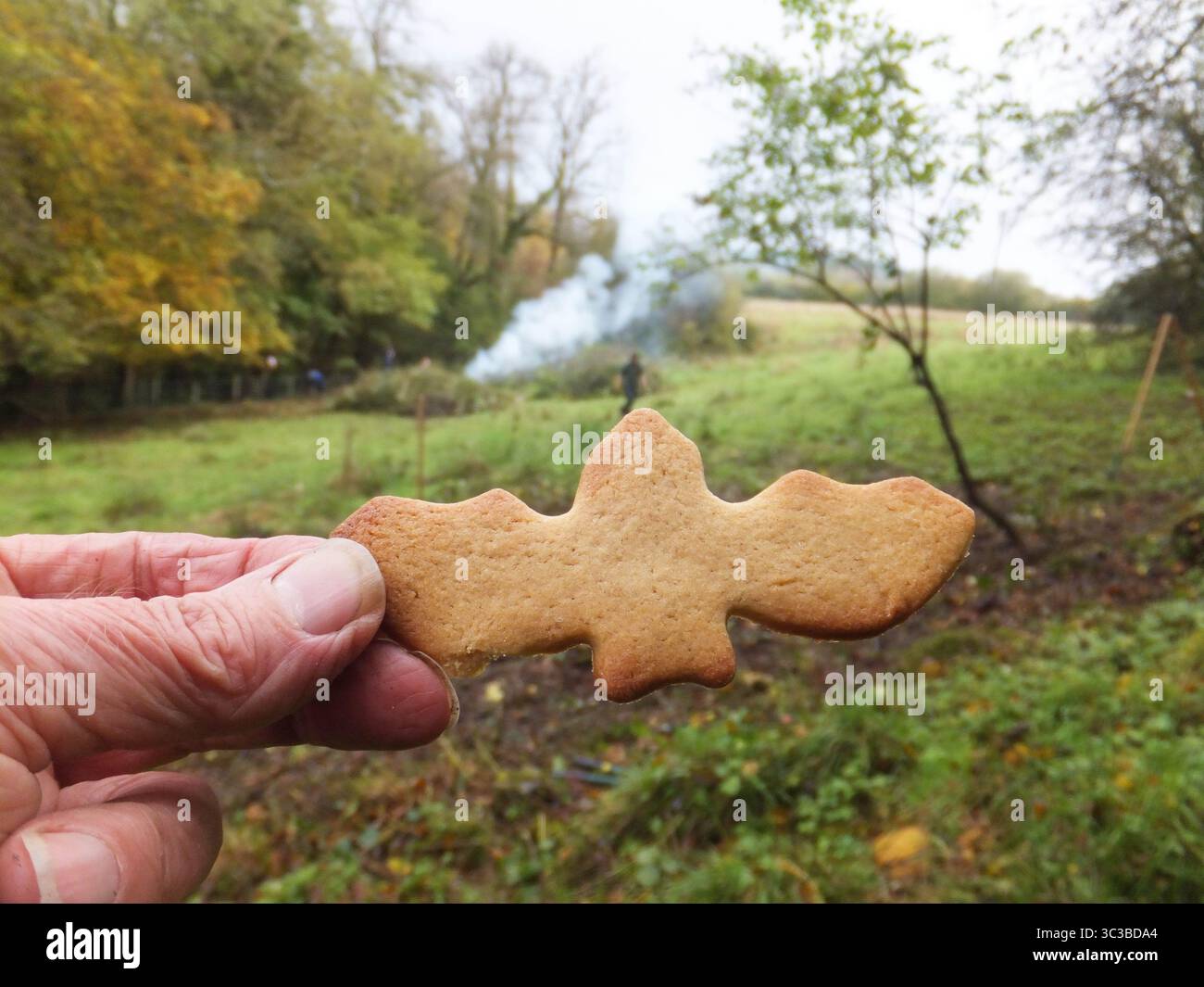 Fledermausform, die Freiwilligen bei einem Naturschutzprojekt in Somerset gegeben wird. Stockfoto
