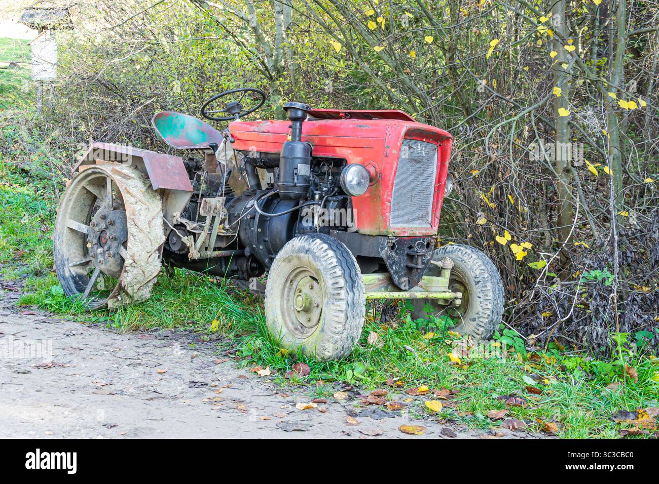 Ein alter roter Traktor vor dem Hintergrund des Waldes Stockfoto