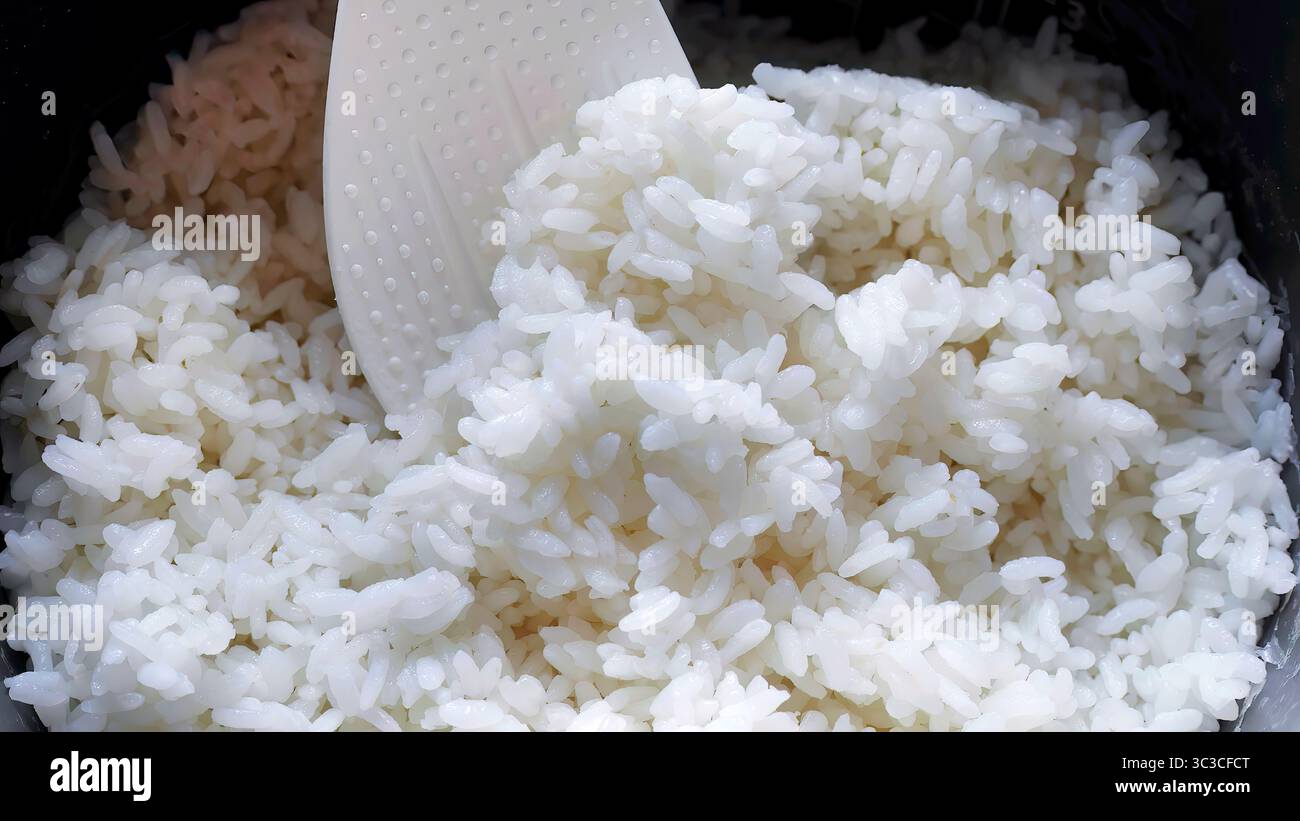 Nahaufnahme gekochter, flauschiger japanischer weißer Reis auf der weißen Schöpfkelle, köstlicher heißer Dampfreis, Lebensmittelindustrie, Lebensmittelgeschäft, asiatische warme Speisen Stockfoto
