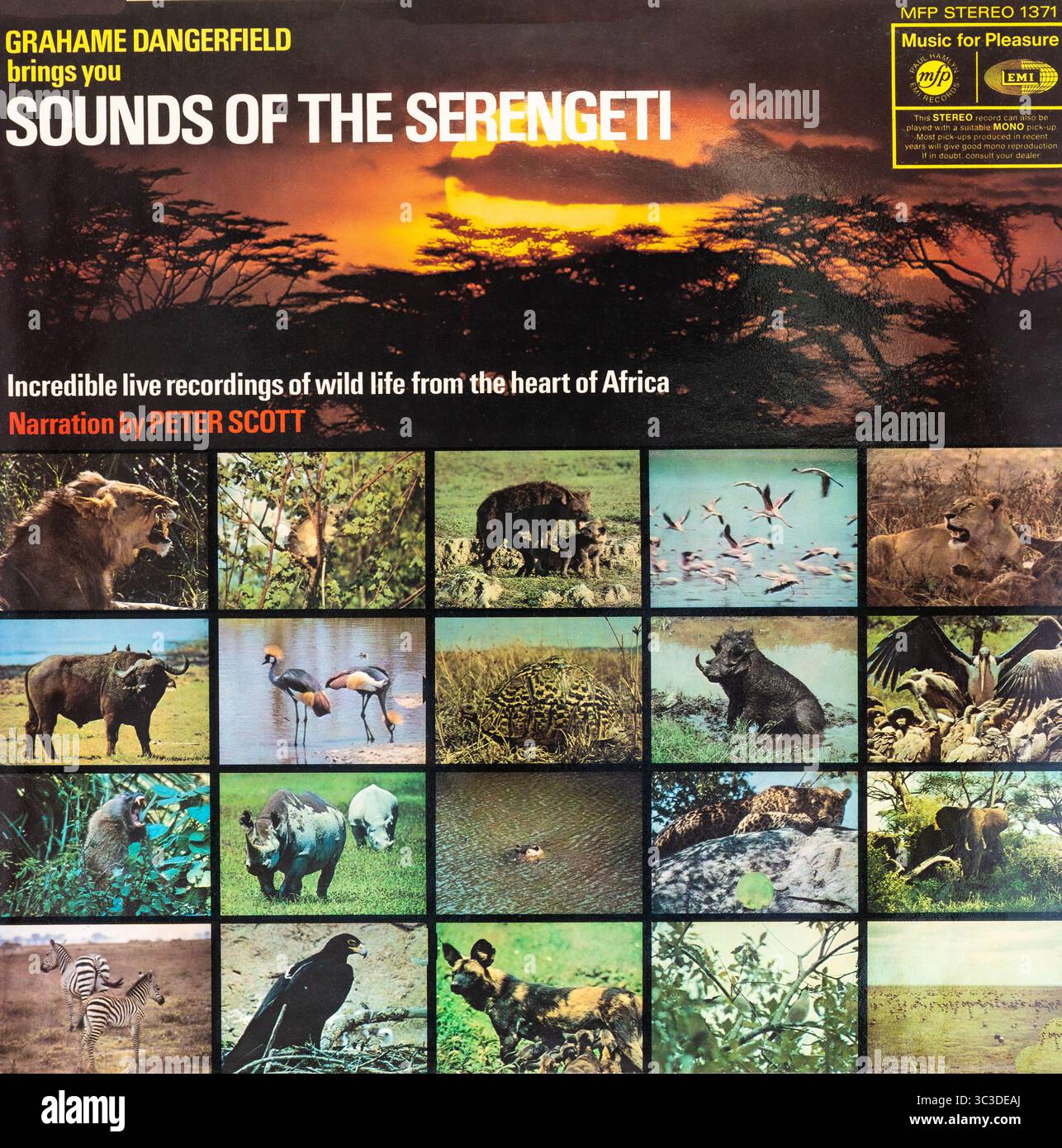 Aktenumschlag Art.. Die Geräusche der Serengeti... Stockfoto