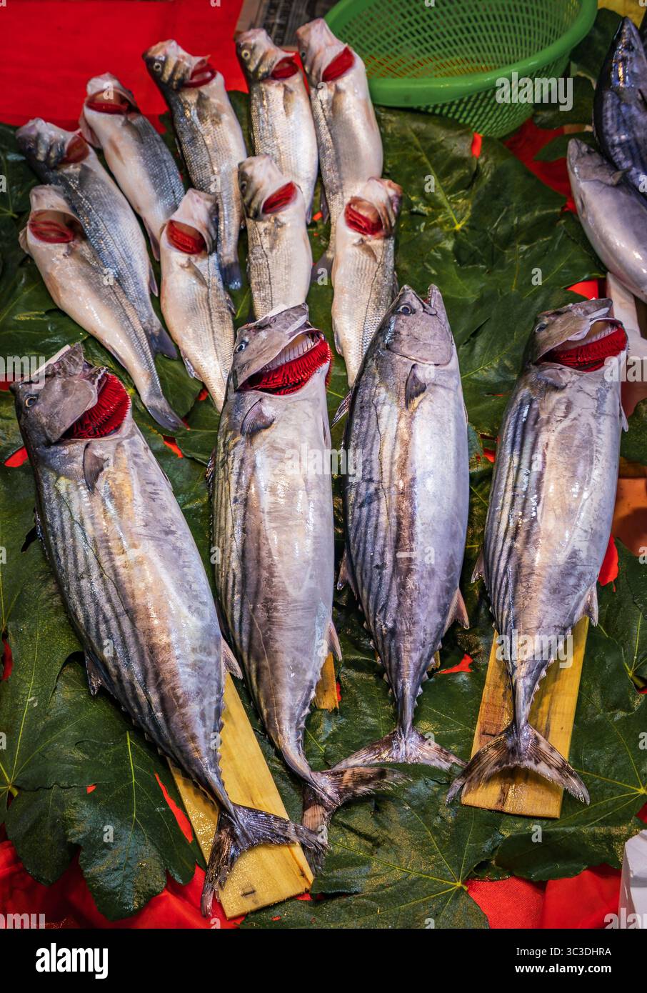 Auswahl an frisch gefangenen Makrelen, die auf einem geschäftigen Marktstand in Karakoy, Istanbul, Türkei, mit Preisschildern präsentiert werden Stockfoto
