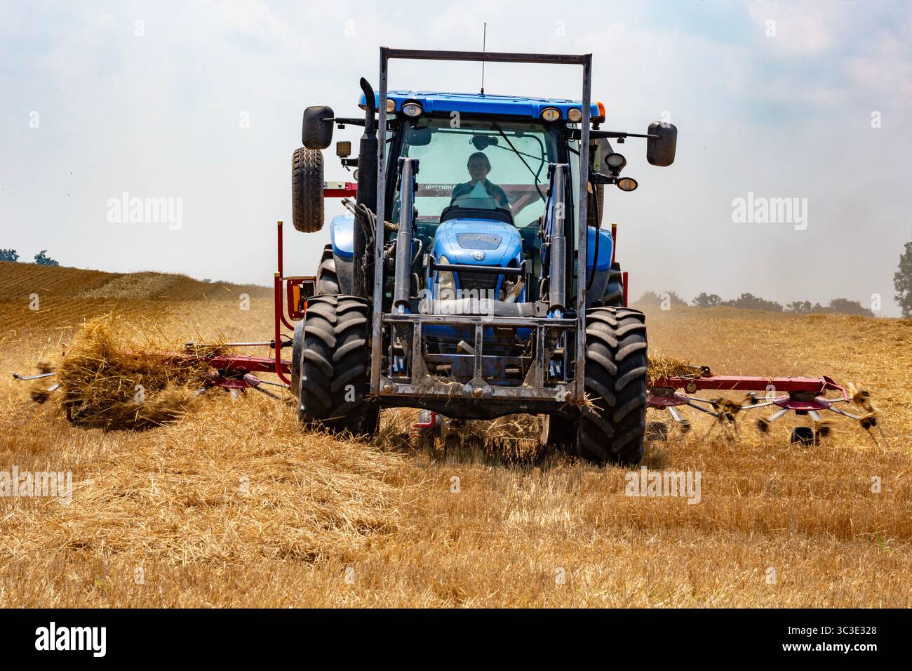 Hastings, Michigan – Ein Landwirt verwendet einen New Holland ProTed 3625 zedder, um seine Ernte zu belüften. Ein zerkleinerer verteilt Heu oder Stroh, um ein schnelleres Trocknen zu ermöglichen Stockfoto