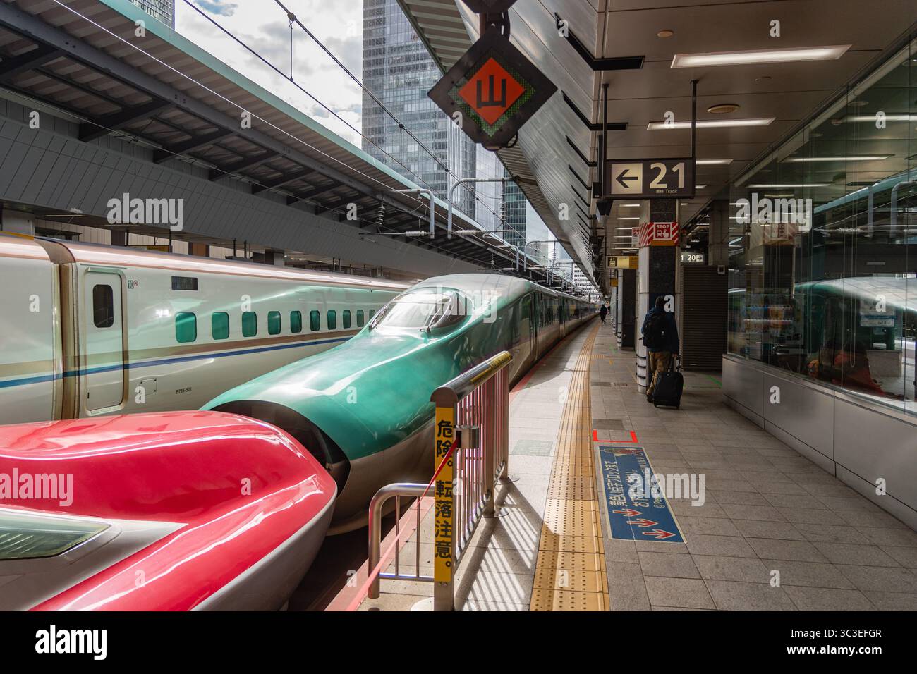 Tokio, Japan - 15. Januar 2025 Shinkansen Hochgeschwindigkeitszug parkt im Bahnhof. Stockfoto