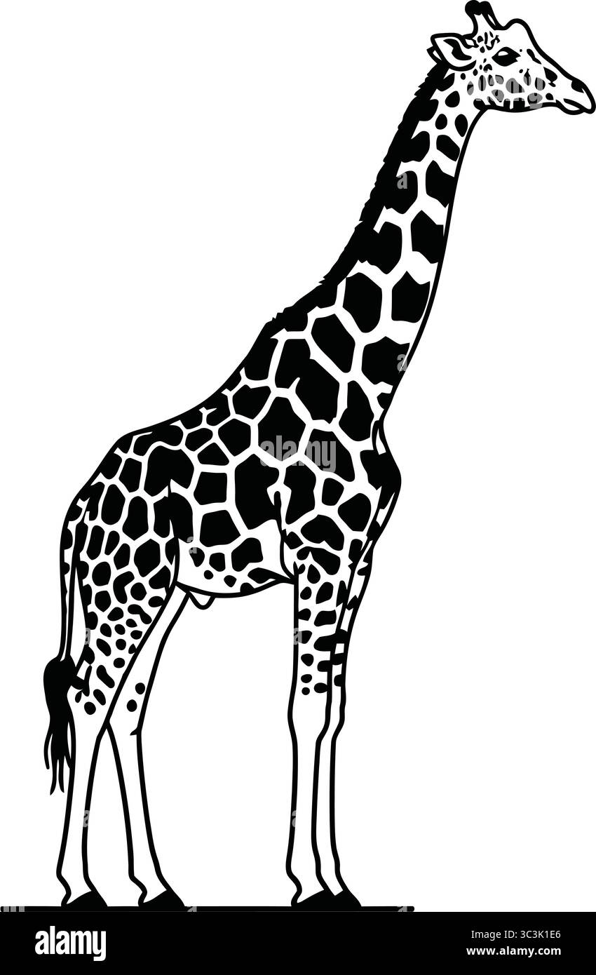 Eine auffällige grafische Illustration einer Giraffe mit ihrem unverwechselbaren langen Hals und dem einzigartigen Punktmuster in minimalistischem Schwarz-weiß-Stil. Stock Vektor