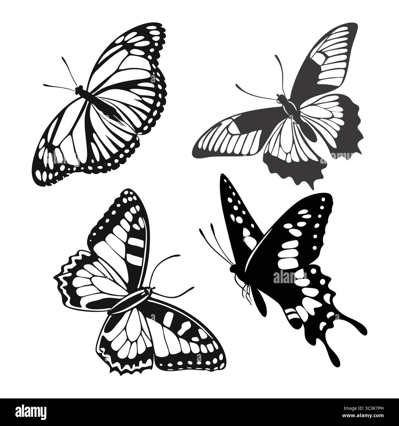 Detaillierte monochrome Admiral Butterfly Illustrationen mit Flügeln in eleganten Posen Stock Vektor