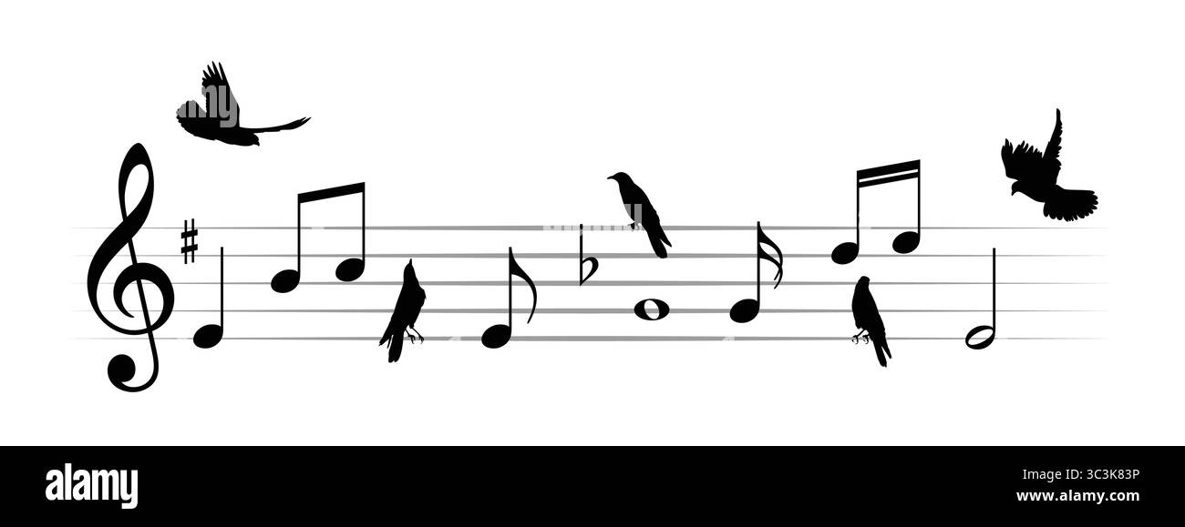Musikalische Noten mit dem Flug der Vögel. Stock Vektor