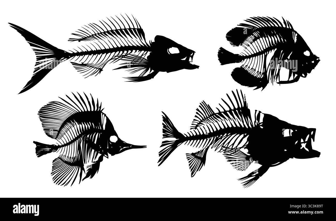 Skelette großer Raubfische. Stock Vektor