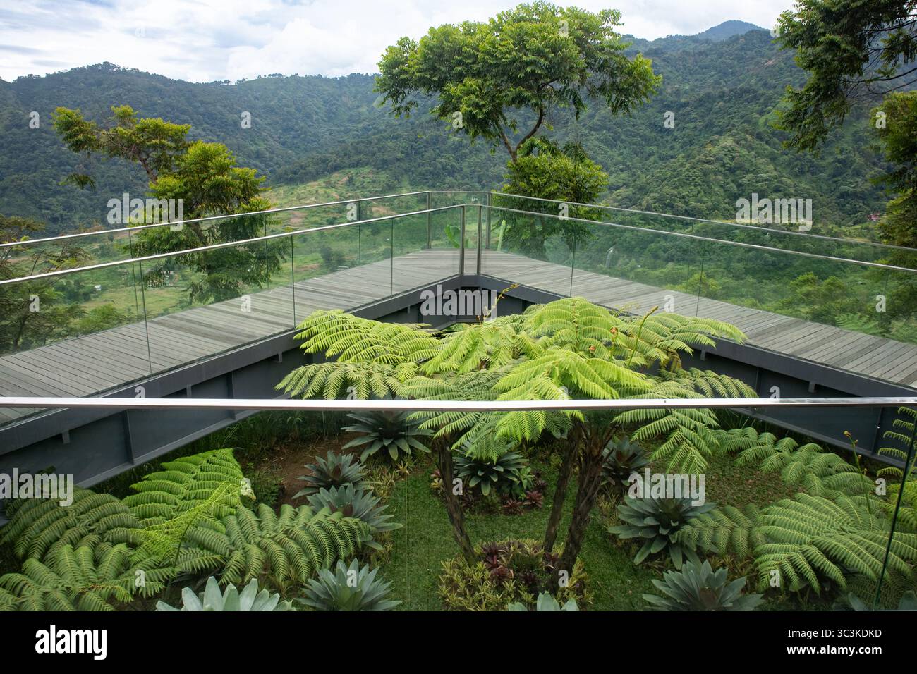 Grassy Garden mit minimalistischer Einrichtung. Stockfoto