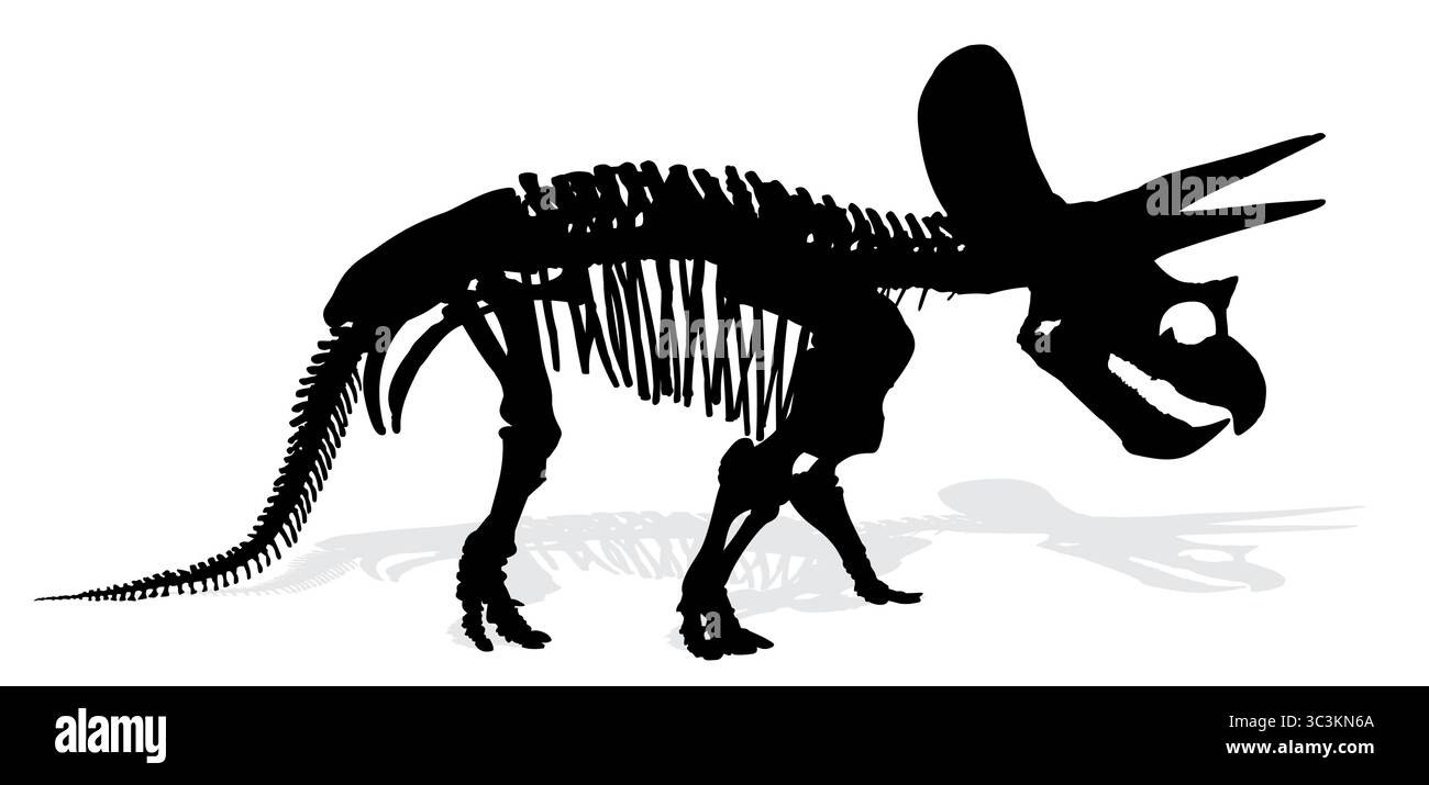 Skelett eines alten großen Dinosauriers. Stock Vektor