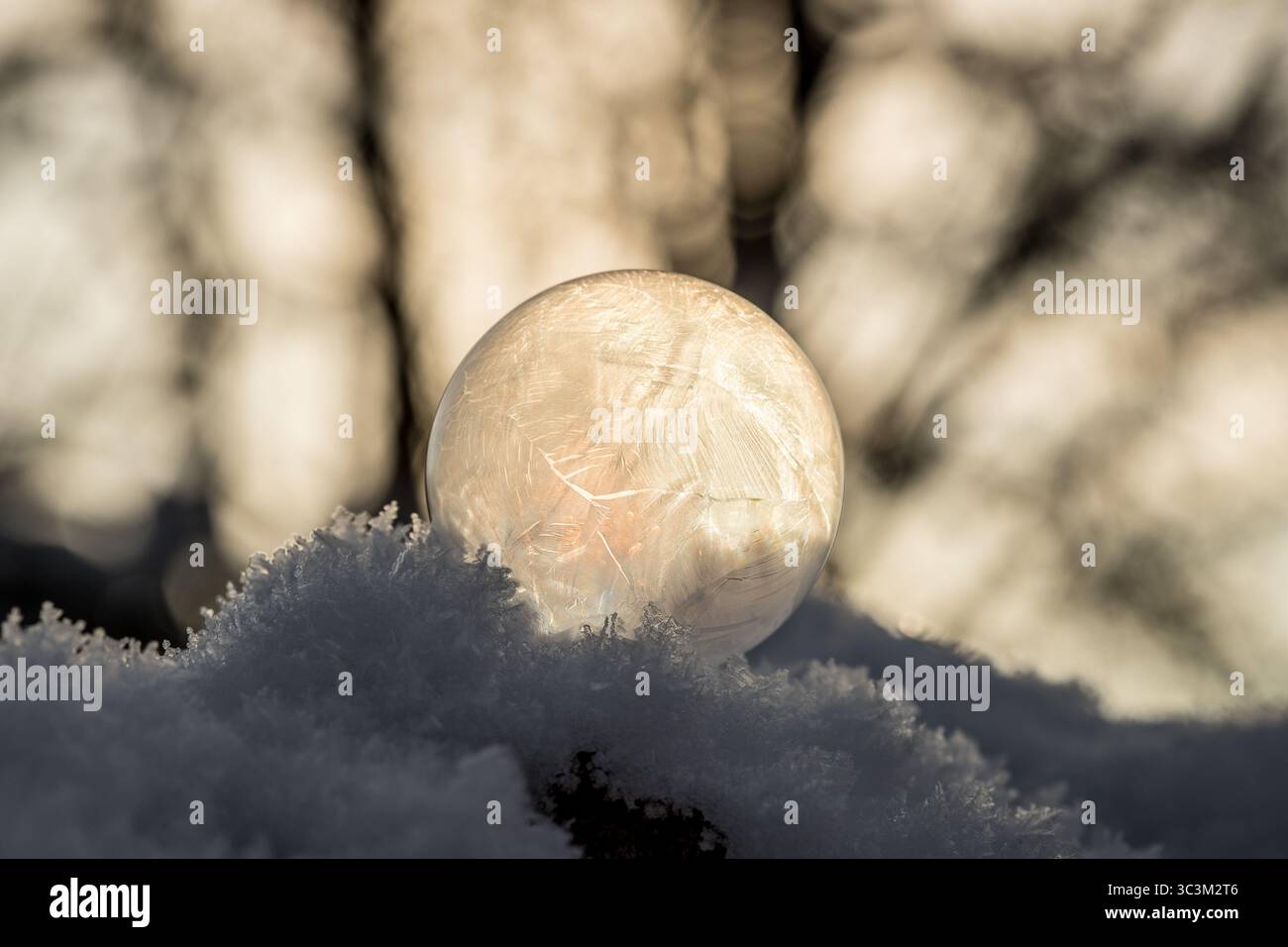 Seifenblase gefroren auf Schnee mit verschwommenem Baum im Hintergrund Stockfoto