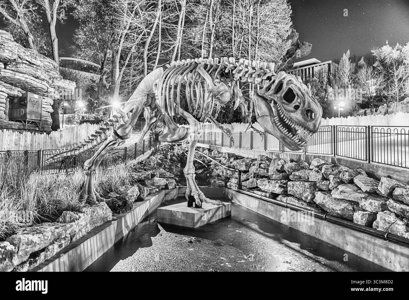 ROM - 1. JANUAR: Ein Dinosaurierskelett bei Nacht im Vergnügungspark Luneur in Rom, 1. Januar 2017 Stockfoto