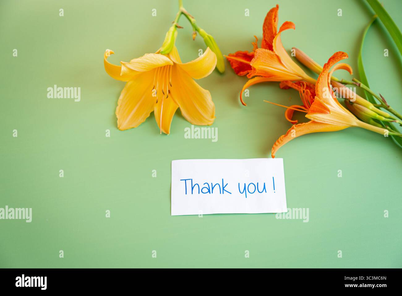 Glückwunschkarte mit einem Blumenstrauß aus hellen Lilien zum Muttertag. Stockfoto