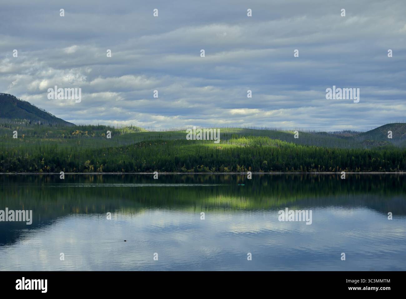 Das Morgenlicht offenbart üppige Wälder auf dem ruhigen Lake McDonald im Glacier National Park, der sich perfekt in glasklarem, wolkengeküsstem Wasser unter grauem Himmel spiegelt. Stockfoto