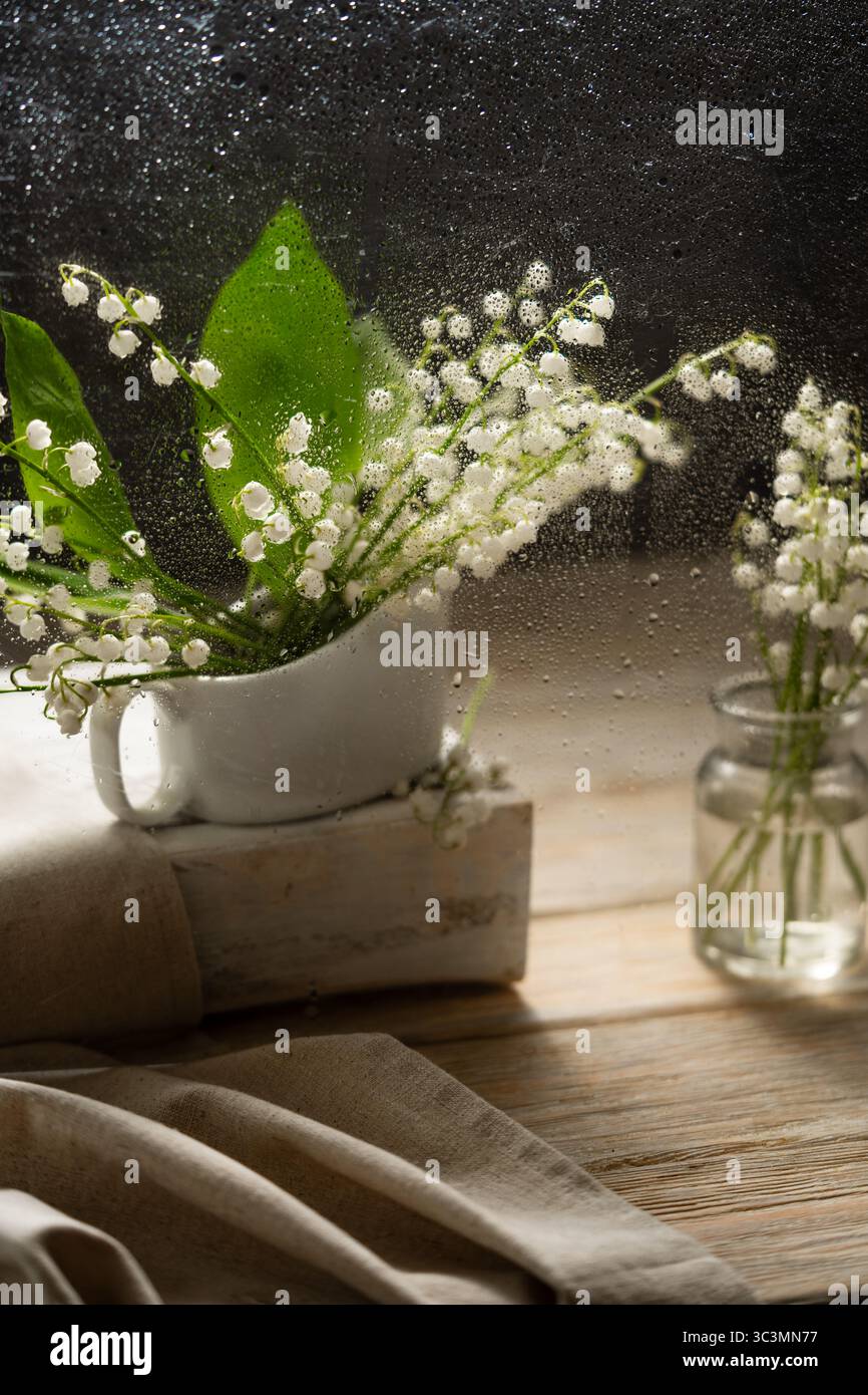 Zarte Blumen der Lilly of the Valley in einem weißen Krug, verziert mit frischen Regentropfen, erinnern an das Wesen des Frühlings. Grüne Blätter sorgen für leuchtende Kontraste Stockfoto
