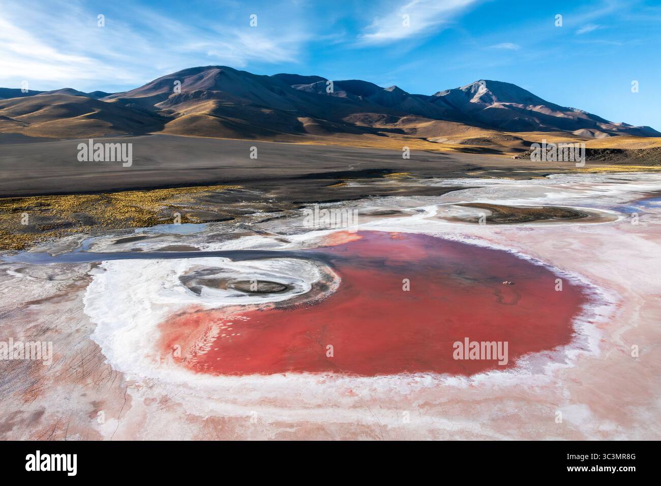 Erkunden Sie die beeindruckenden Salzteiche und zerklüfteten Hochlandlandschaften von La Puna, Argentinien. Diese faszinierende Region bietet einzigartige geologische Formationen Stockfoto