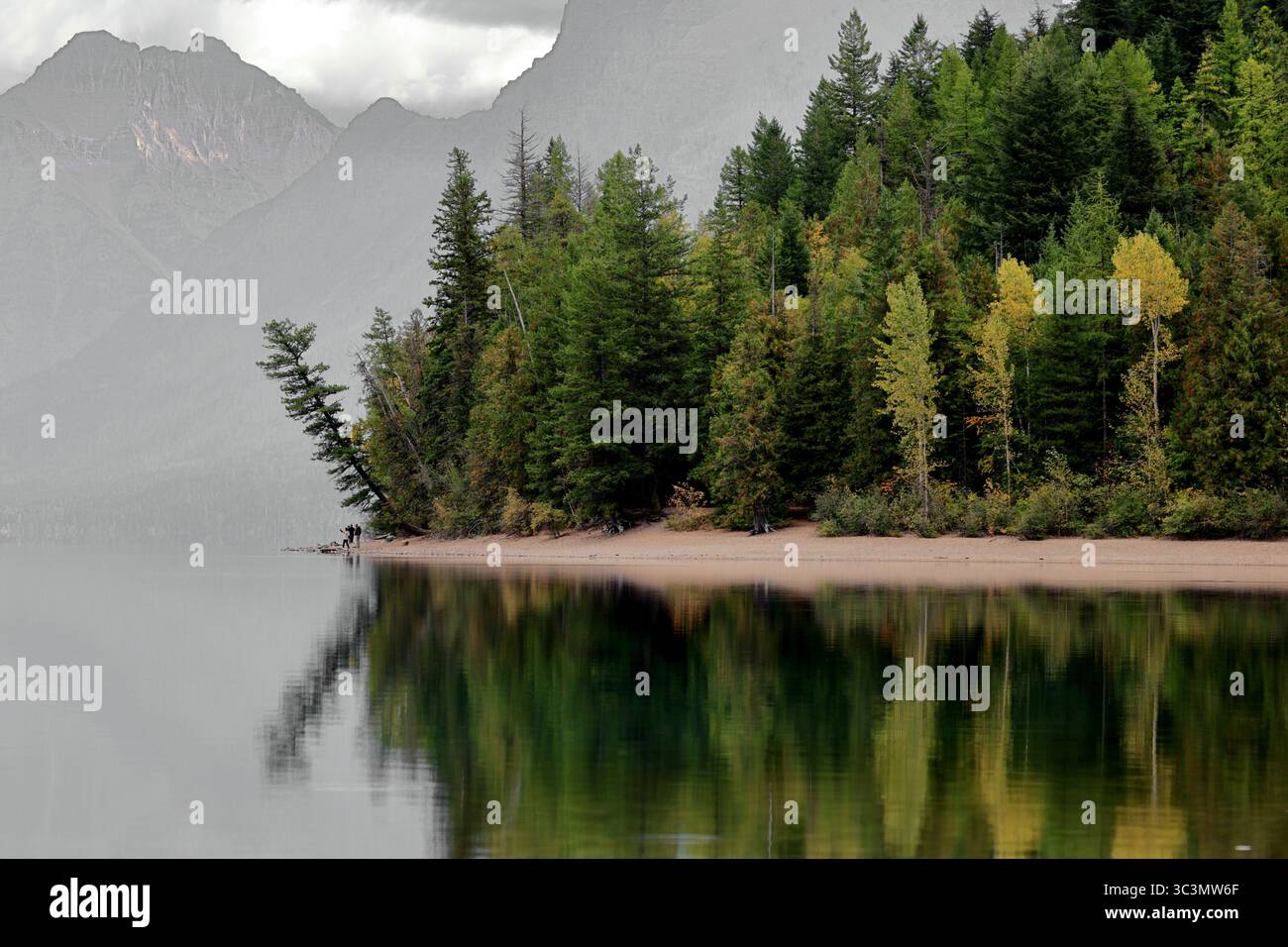 Immergrüne Kiefern säumen ein Sandufer, während das glasklare Wasser des Lake McDonald das Herbstlaub und zerklüftete Gipfel unter bewölktem Himmel im Glacier Park spiegelt Stockfoto