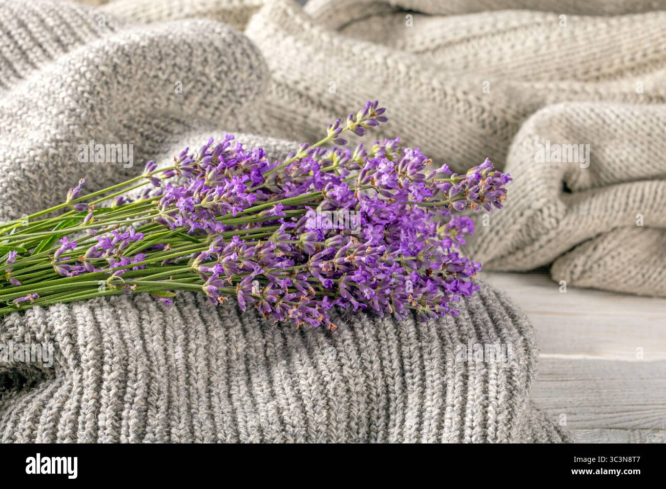 Dieses Bild zeigt einen herrlichen Blumenstrauß aus leuchtenden Lavendelblüten auf einem Hintergrund aus strukturierten Strickgegenständen, die ein Gefühl von Komfort und Tram wecken Stockfoto