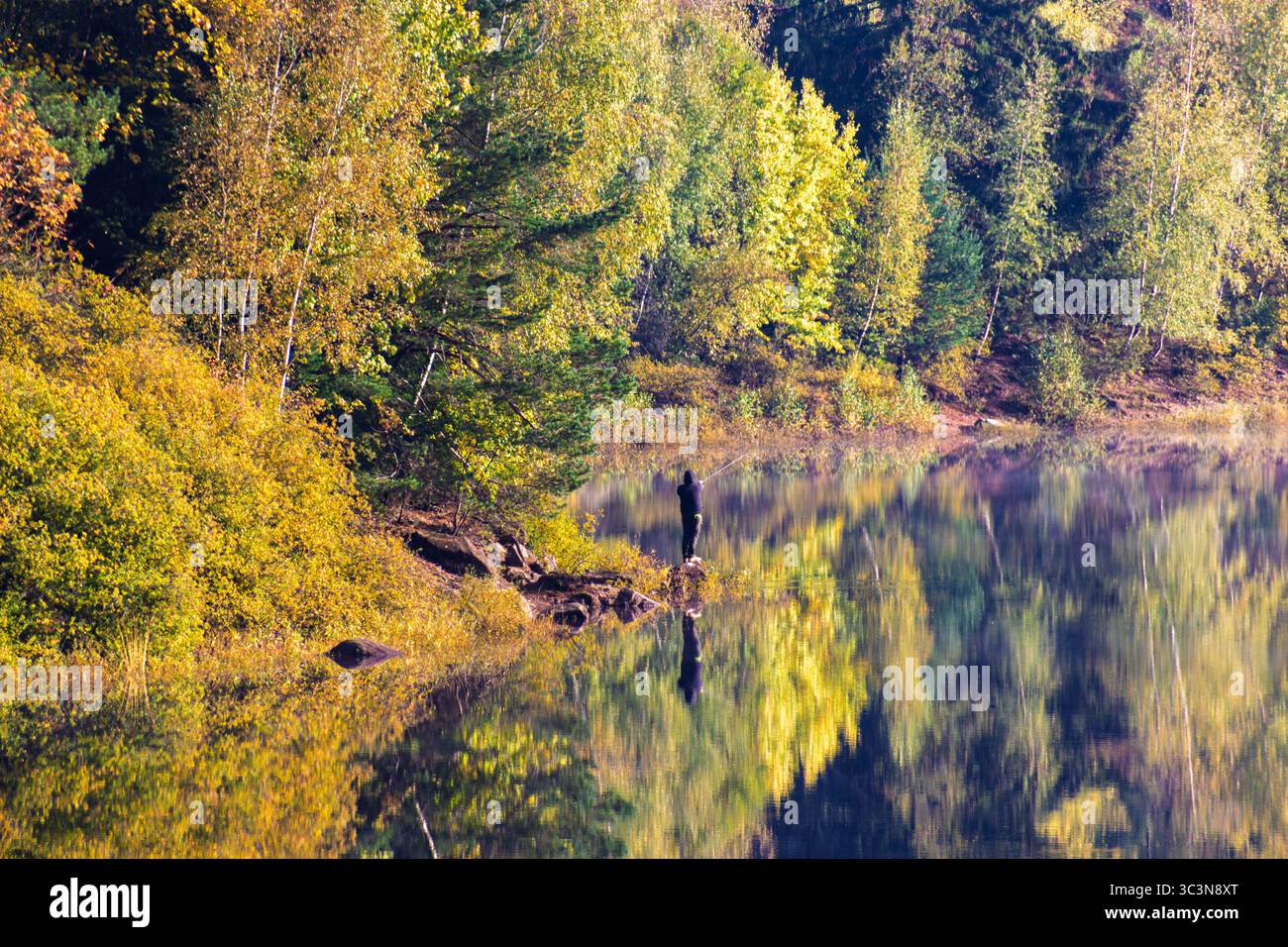 Ein ruhiger Blick auf das lebhafte Herbstlaub, das sich auf ruhigem Wasser spiegelt, in bezauberndem Morgenlicht gefangen Stockfoto