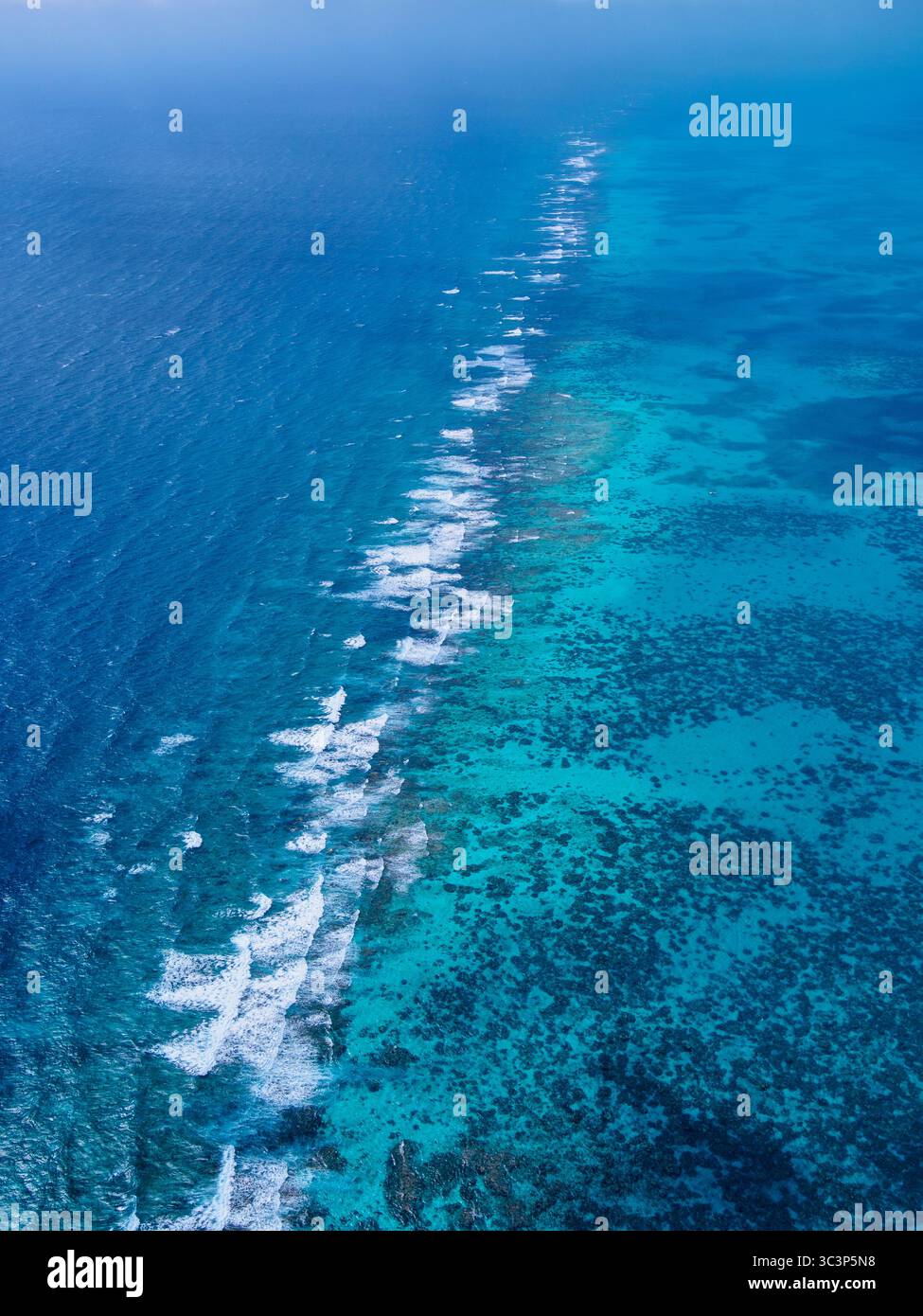 Karibisches Meer, Luftsicht, Belize District, Belize Stockfoto