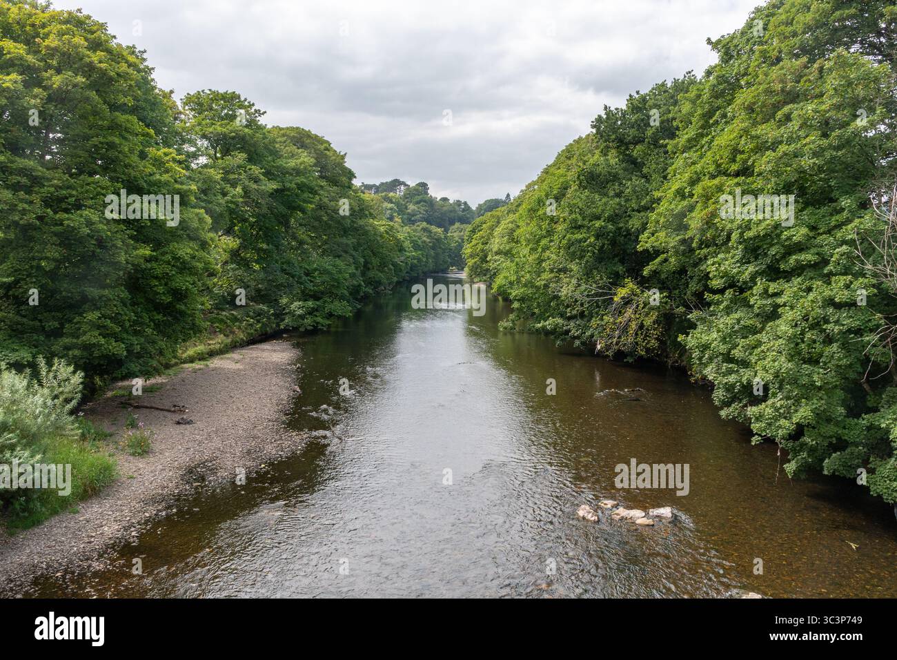 Blick auf den Fluss Taff in der Nähe von Cardiff, Wales, Großbritannien, im Sommer Stockfoto