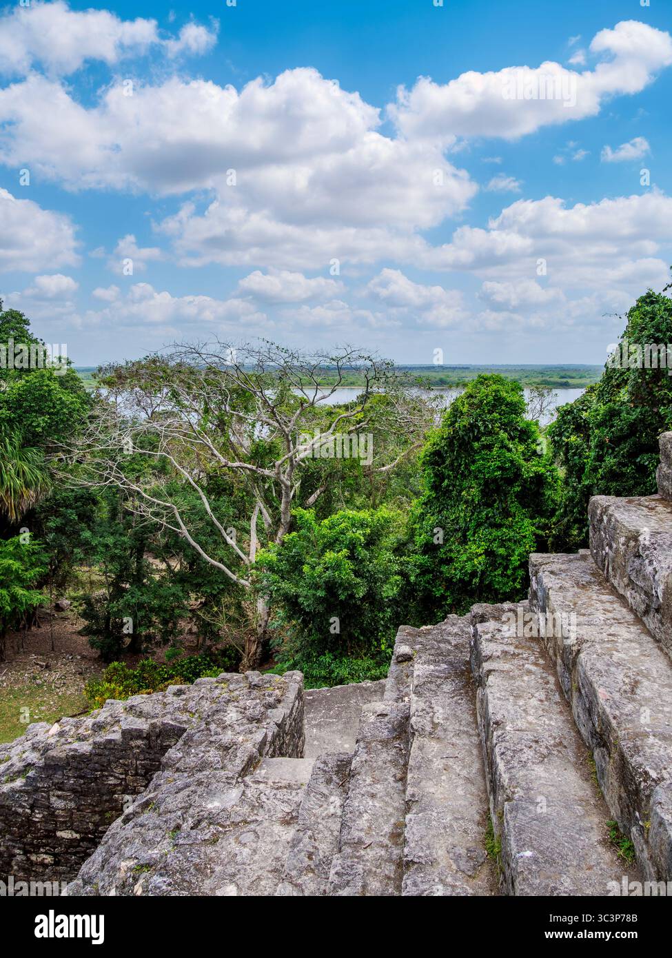 Blick vom Tempel des Jaguar in Richtung New River, Lamanai Archaeological Reserve, Orange Walk District, Belize Stockfoto