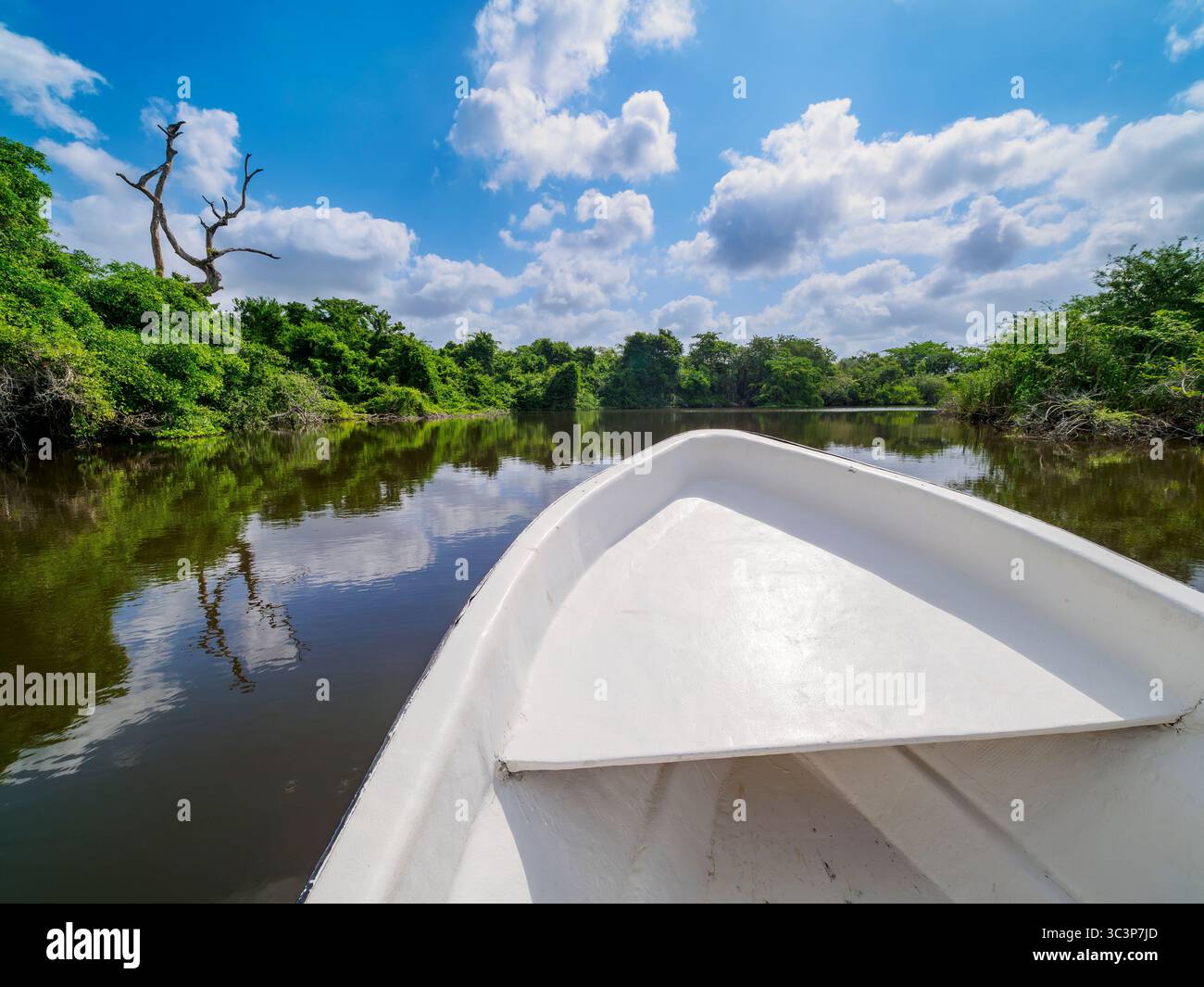 Motorboot am New River, Orange Walk District, Belize Stockfoto