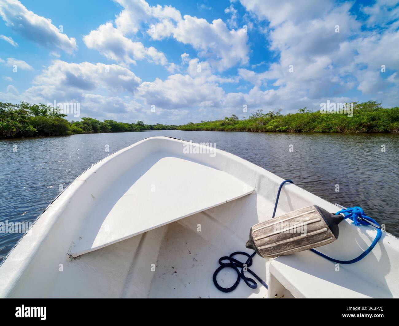 Motorboot am New River, Orange Walk District, Belize Stockfoto