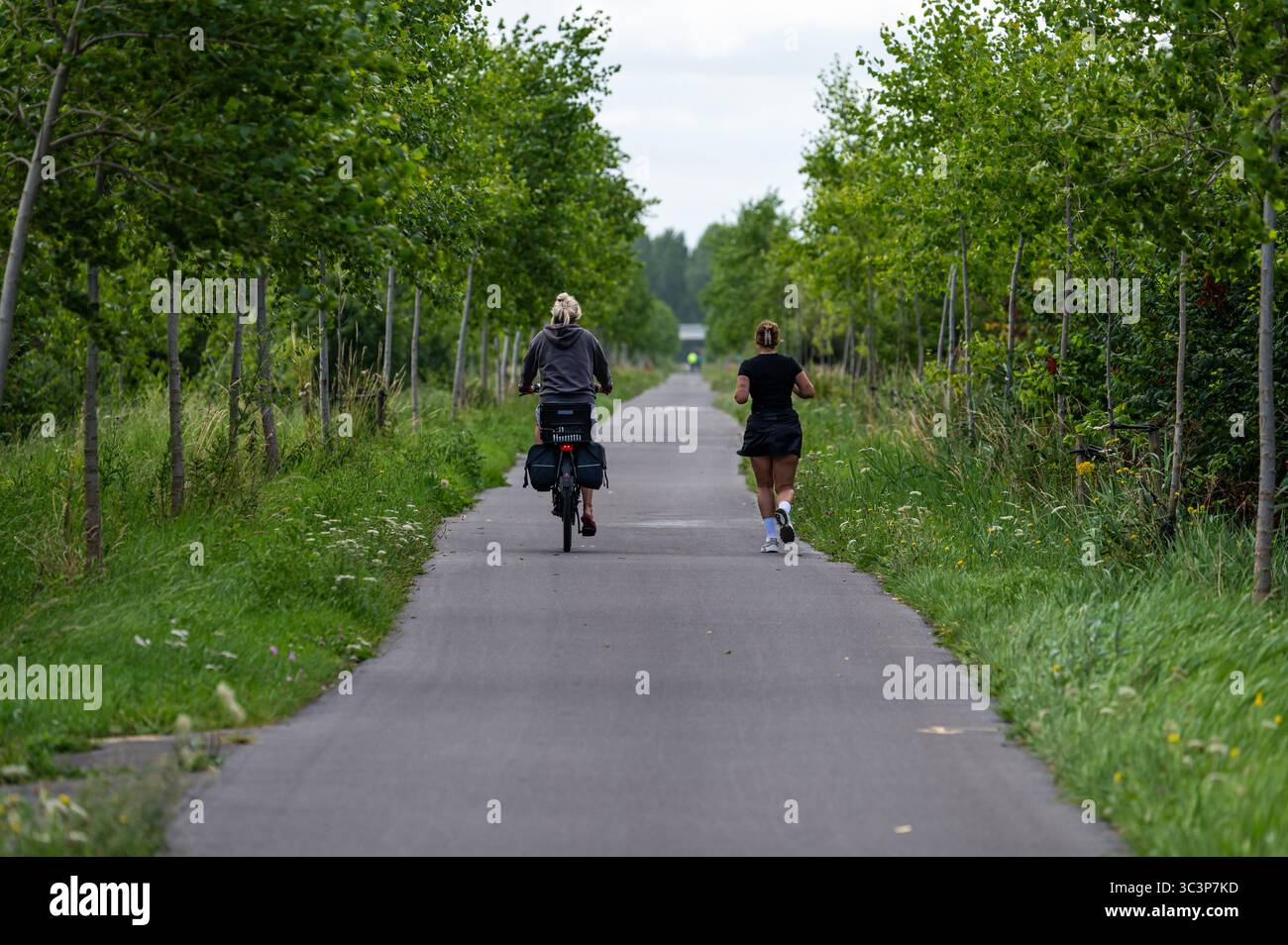 Frau, die am 7. Juli 2025 durch die Wälder in Ramskapelle, Knokke Heist, Westflandern Belgien, radelt und rennt Stockfoto