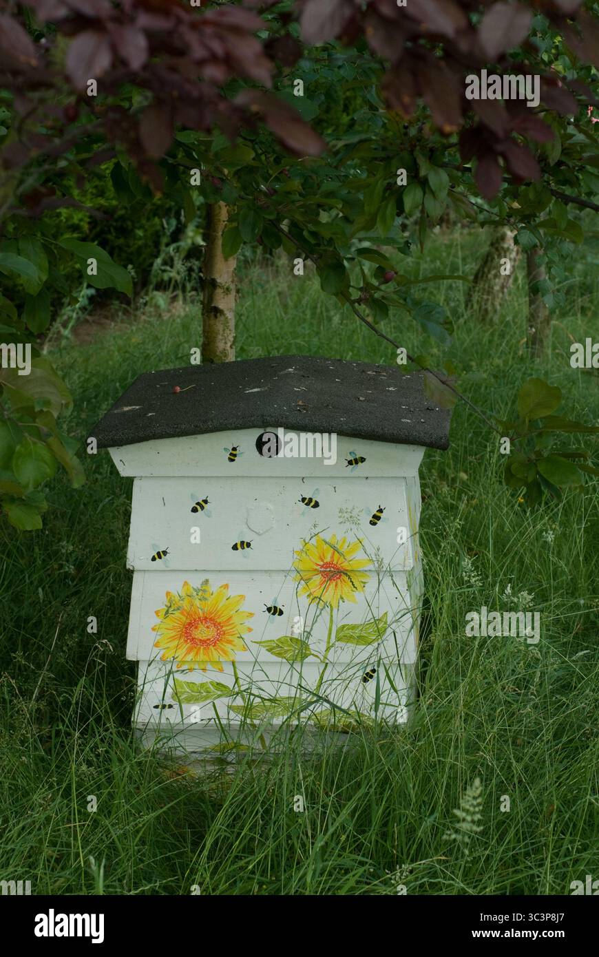 Ein lebendiger Bienenkorb mit gelben Sonnenblumen liegt im hohen grünen Gras und wimmelt an einem sonnigen Tag von Bienen. Stockfoto