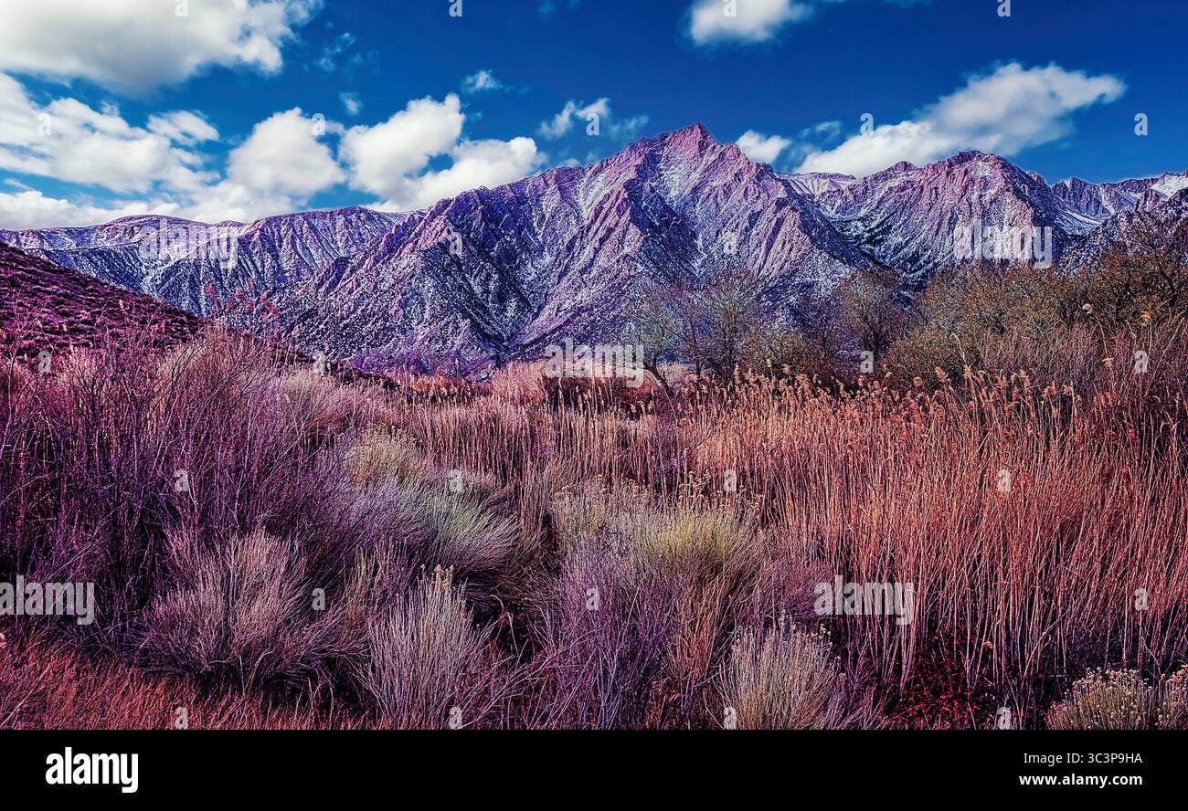 Eastern Sierra Nevada, Kalifornien Stockfoto