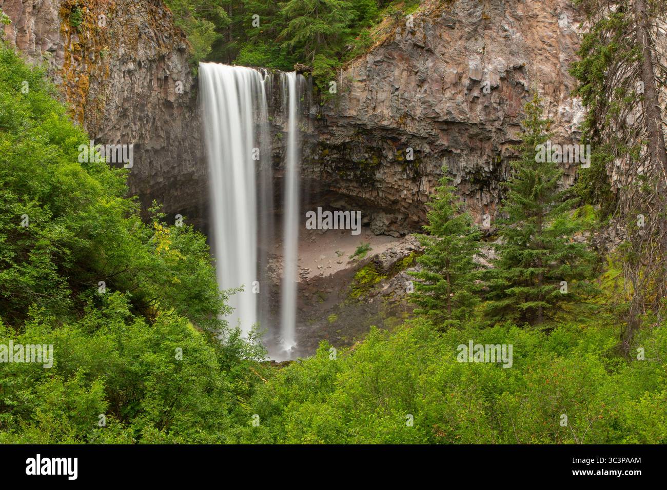 Tamanawas Falls entlang des Tamanawas Falls Trail, Mt. Hood National Scenic Byway, Mt Hood National Forest, Oregon Stockfoto
