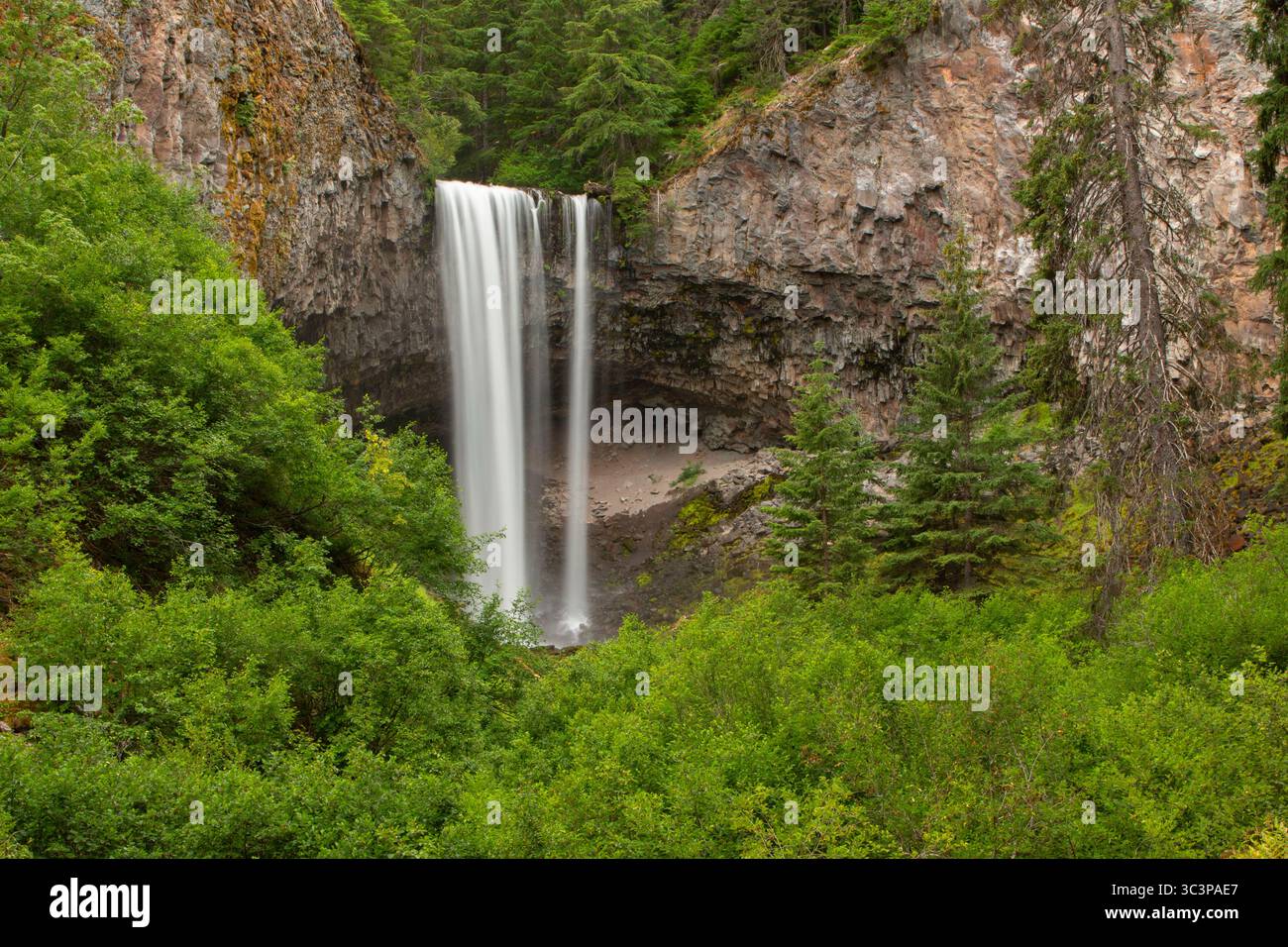 Tamanawas Falls entlang des Tamanawas Falls Trail, Mt. Hood National Scenic Byway, Mt Hood National Forest, Oregon Stockfoto