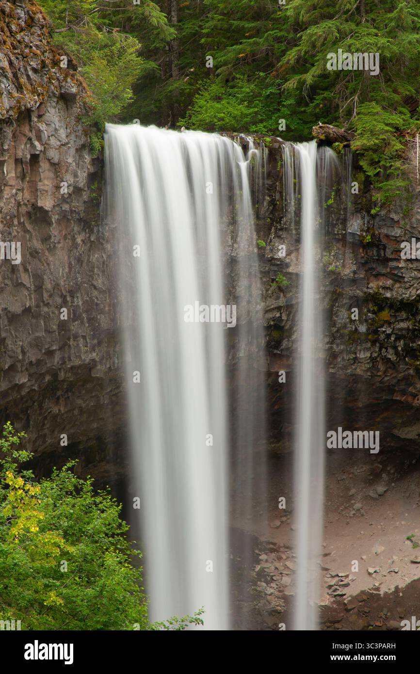 Tamanawas Falls entlang des Tamanawas Falls Trail, Mt. Hood National Scenic Byway, Mt Hood National Forest, Oregon Stockfoto