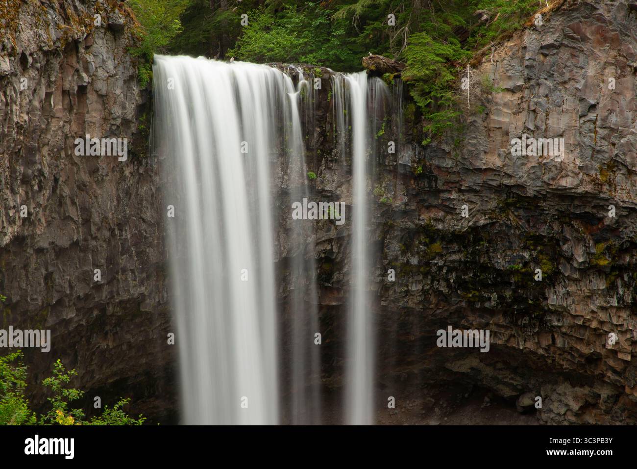 Tamanawas Falls entlang des Tamanawas Falls Trail, Mt. Hood National Scenic Byway, Mt Hood National Forest, Oregon Stockfoto