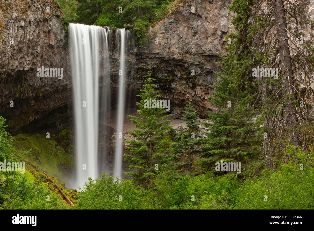 Tamanawas Falls entlang des Tamanawas Falls Trail, Mt. Hood National Scenic Byway, Mt Hood National Forest, Oregon Stockfoto