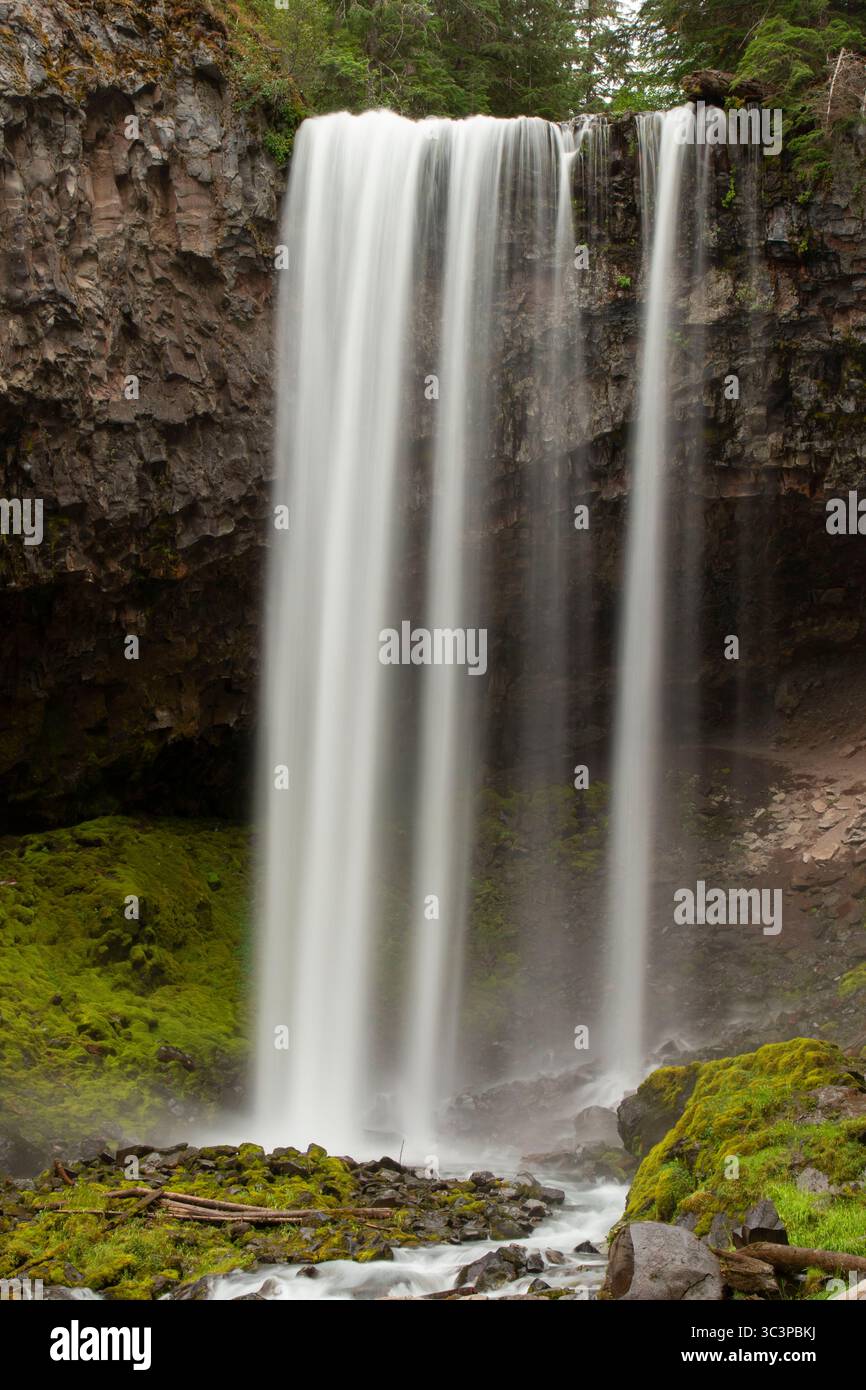 Tamanawas Falls entlang des Tamanawas Falls Trail, Mt. Hood National Scenic Byway, Mt Hood National Forest, Oregon Stockfoto
