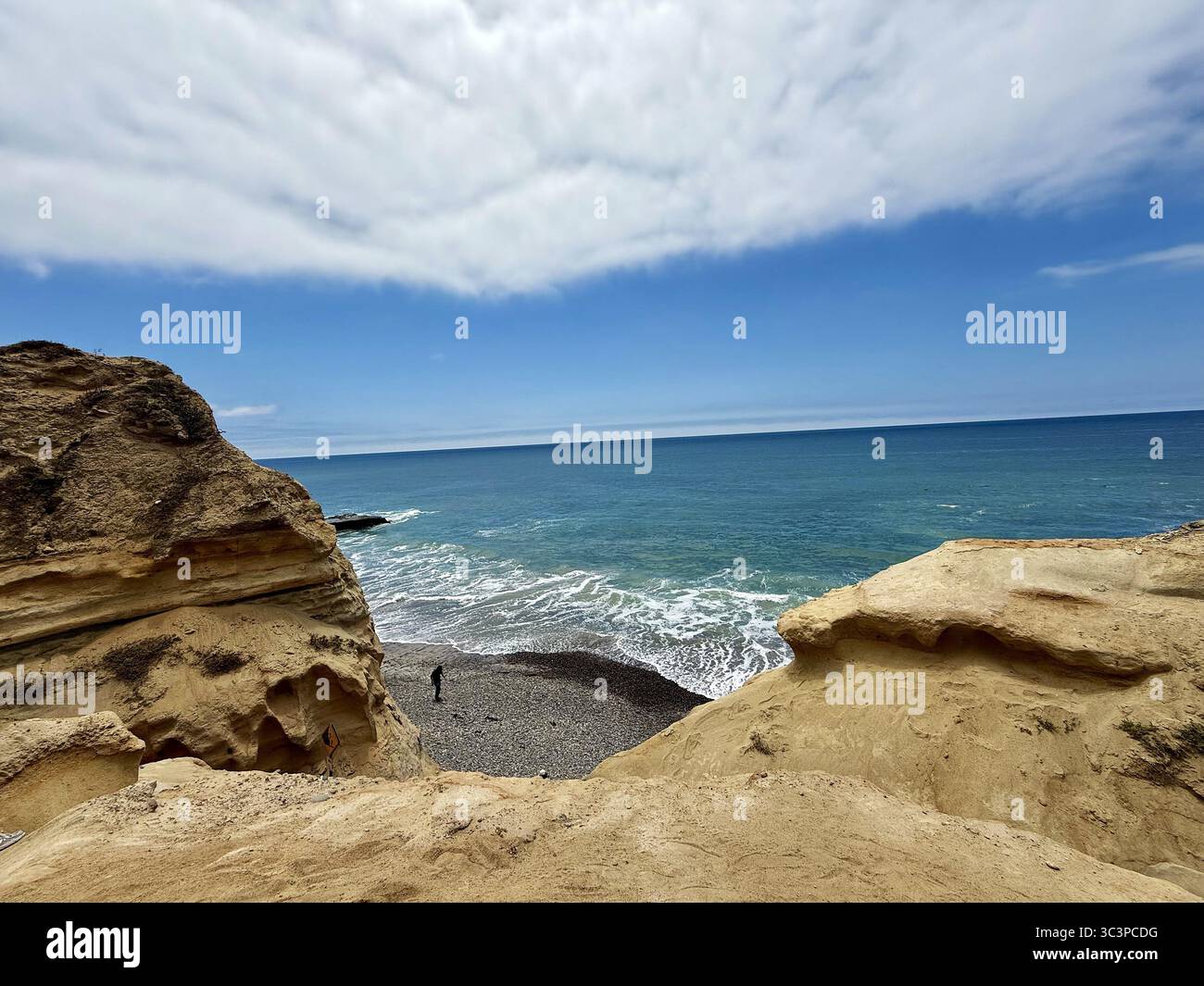 San Diego, das Leben in Torrey Pines Stockfoto