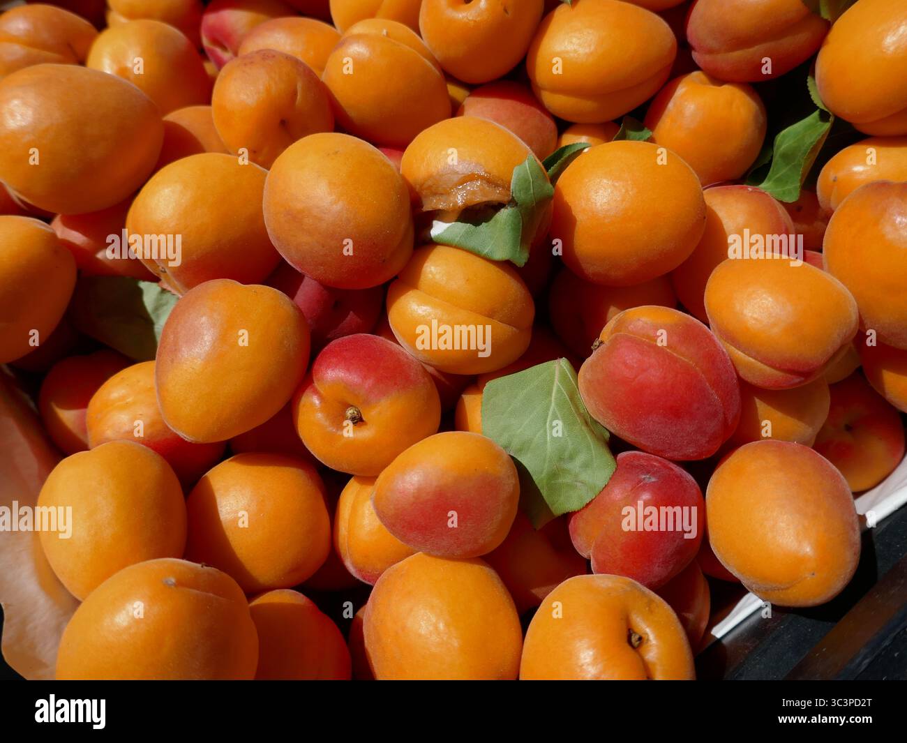 Frische Pfirsiche werden auf dem sonnigen Bauernmarkt im Freien angeboten Stockfoto