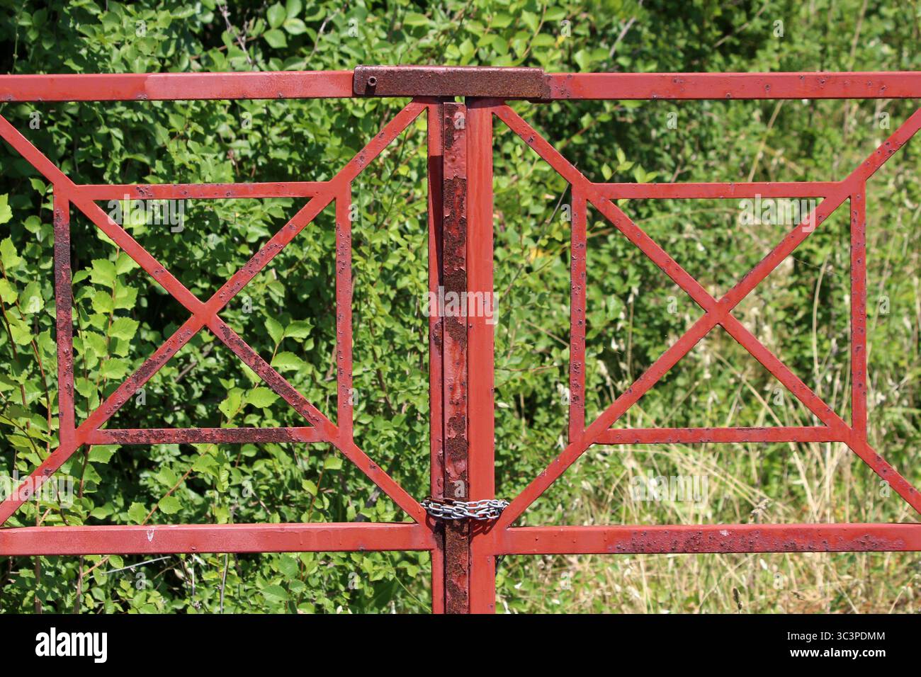 Ein verwittertes rotes Metalltor hat quadratische geometrische Gittermuster, gesprenkelten Rost und ist mit einer Stahlkette gesichert, die gegen dichtes Grün steht Stockfoto