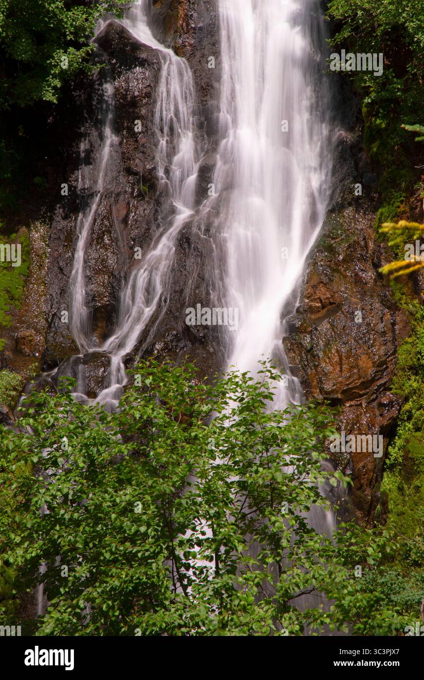 Sahalie Falls, Mt Hood National Forest, Oregon Stockfoto