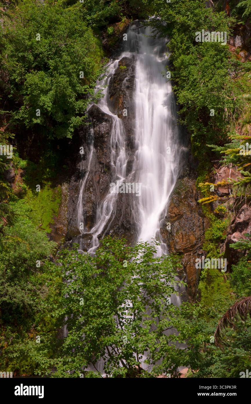 Sahalie Falls, Mt Hood National Forest, Oregon Stockfoto