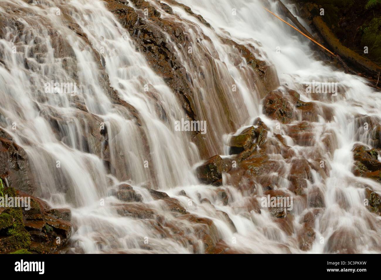 Schirm Falls, Mt Hood National Forest, Oregon Stockfoto