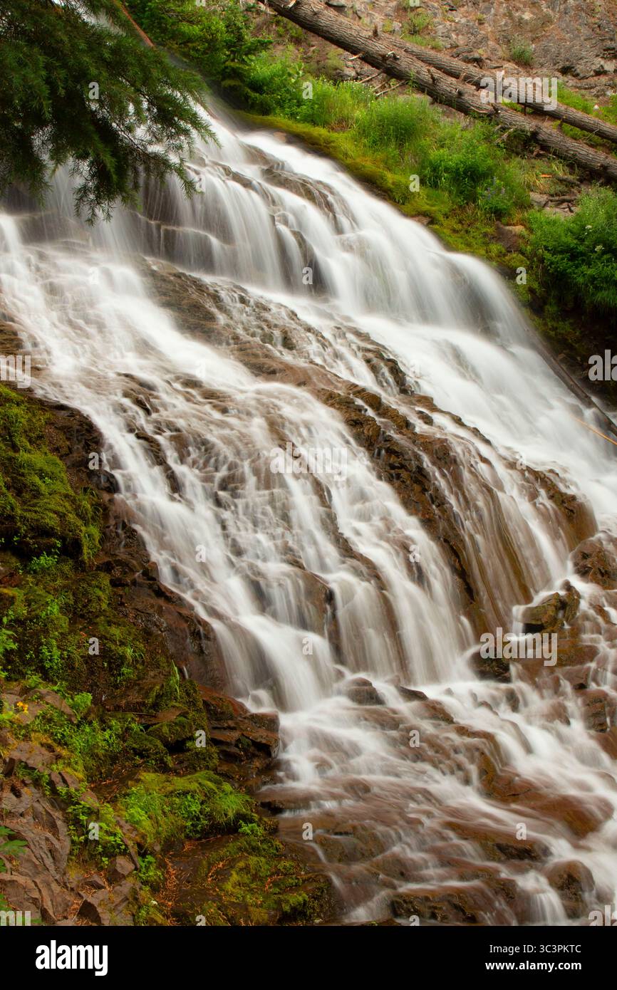Schirm Falls, Mt Hood National Forest, Oregon Stockfoto