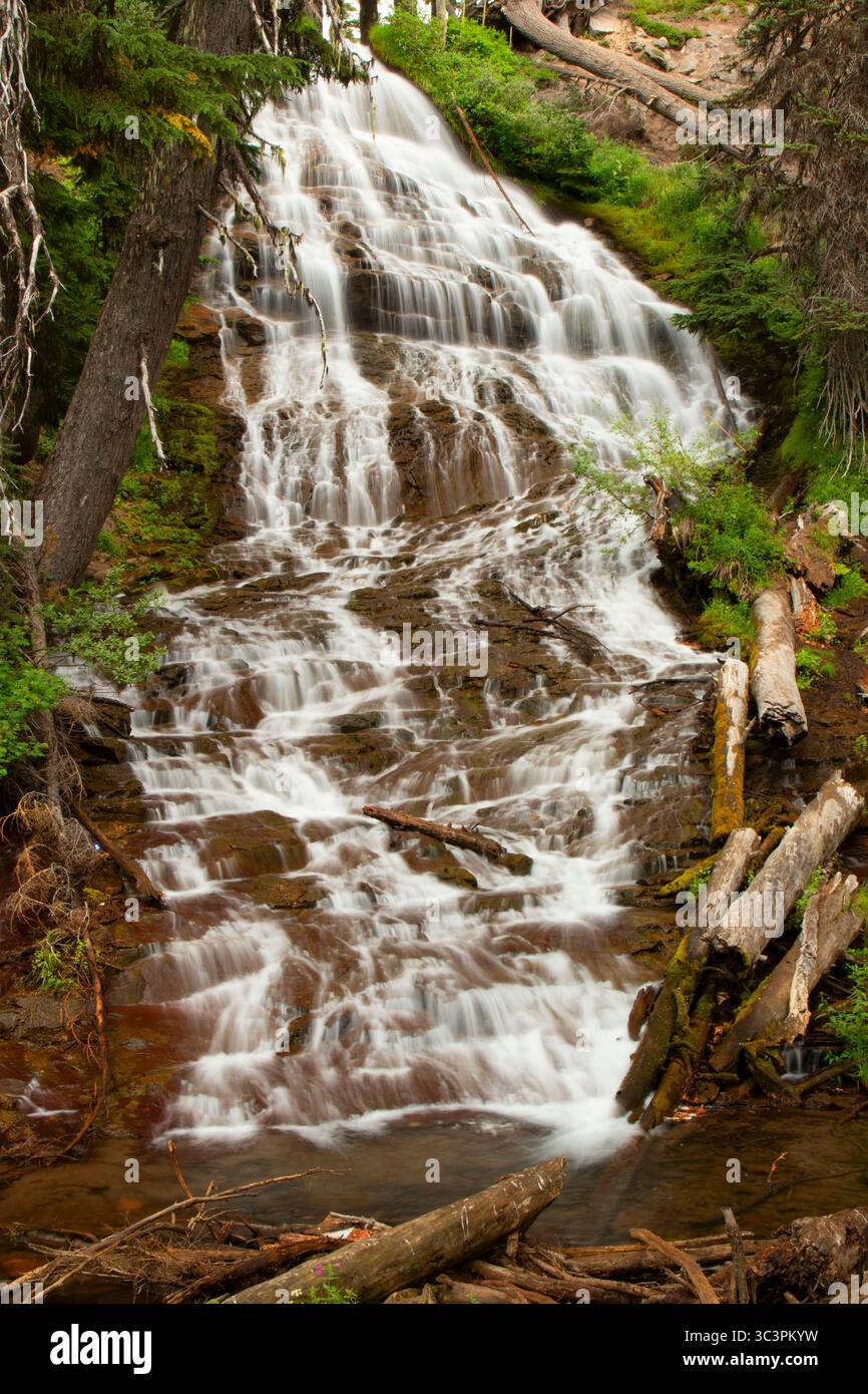 Schirm Falls, Mt Hood National Forest, Oregon Stockfoto