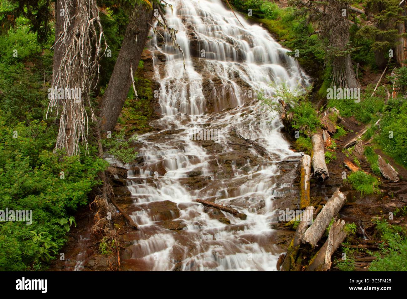 Schirm Falls, Mt Hood National Forest, Oregon Stockfoto