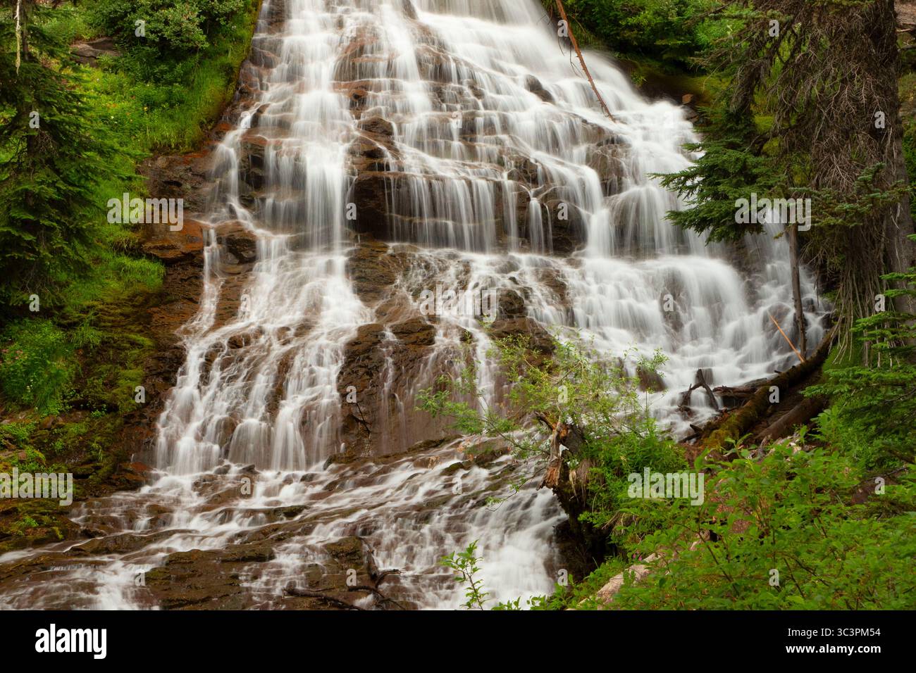 Schirm Falls, Mt Hood National Forest, Oregon Stockfoto