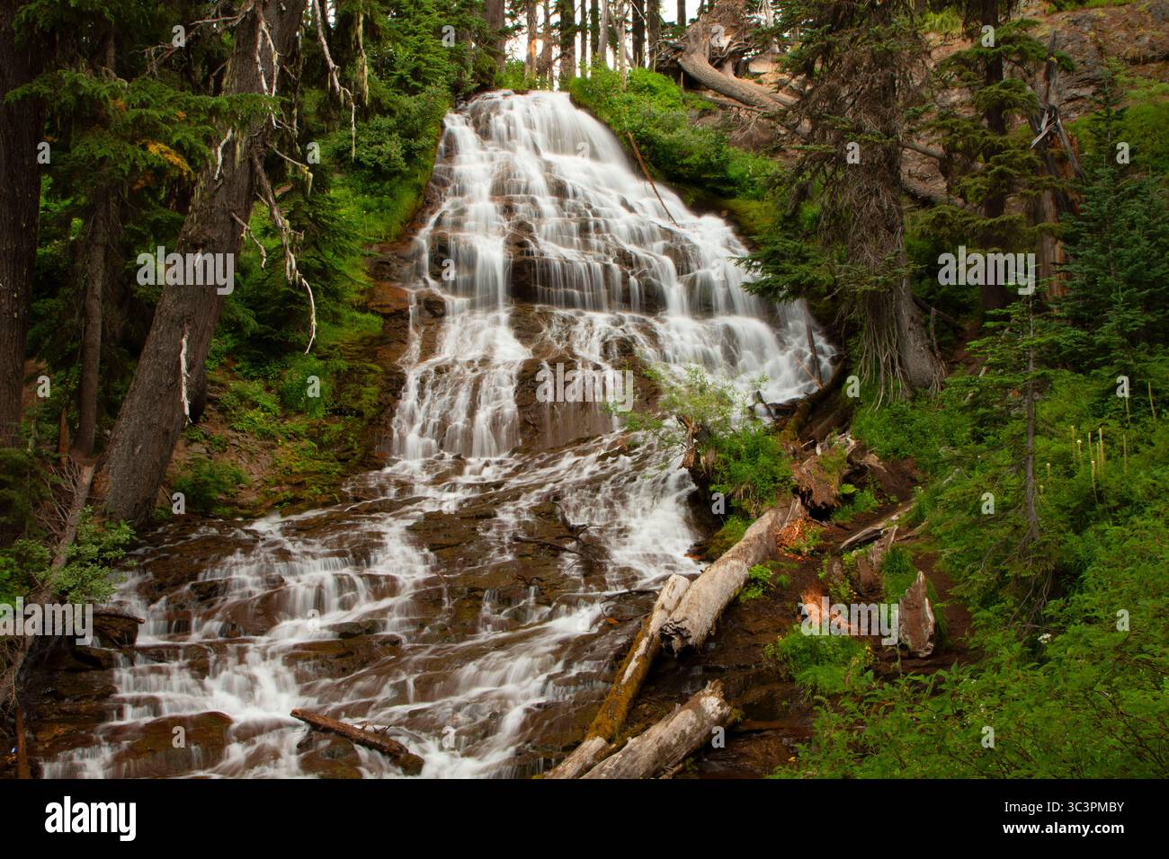 Schirm Falls, Mt Hood National Forest, Oregon Stockfoto